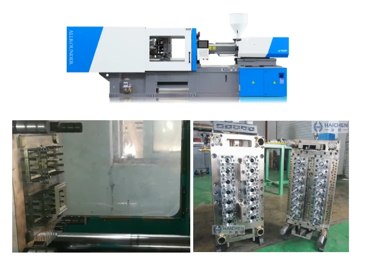Haichen mould