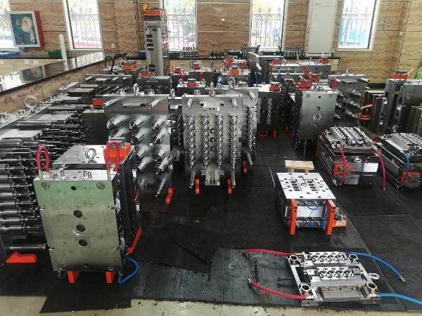 Haichen moulds
