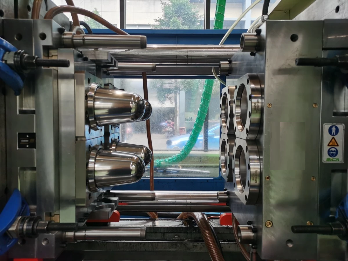 Haichen mould