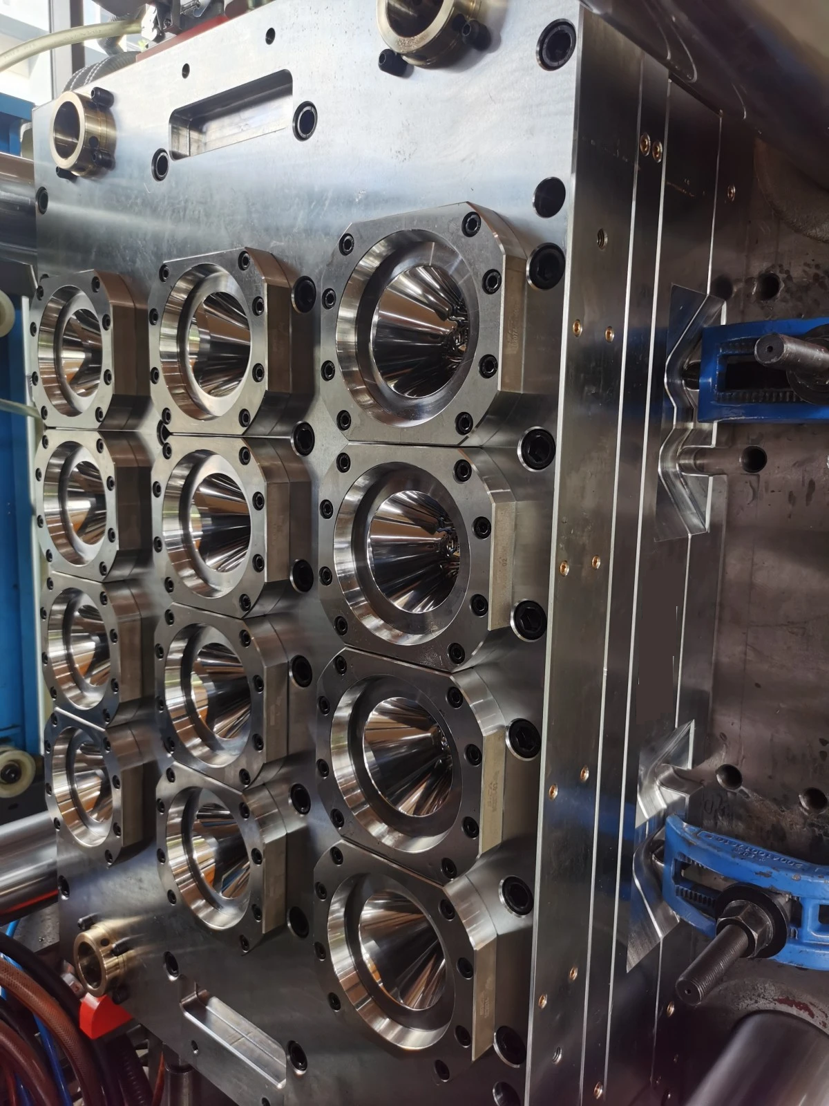 Haichen mould